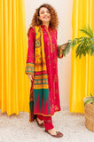Winter 2024 hot Collection Available on Dhanak