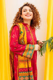 Winter 2024 hot Collection Available on Dhanak