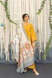 Winter  2024 hot Collection Available on Dhanak