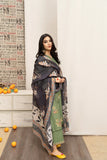 Winter  2024 hot Collection Available on Dhanak