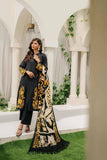 Winter  2024 hot Collection Available on Dhanak