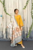 Winter 2024 hot Collection Available on Dhanak