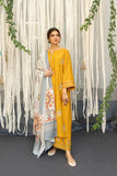 Winter 2024 hot Collection Available on Dhanak