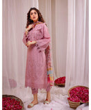 Winter  2024 hot Collection Available on Dhanak