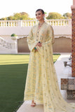 Winter  2024 hot Collection Available on Dhanak